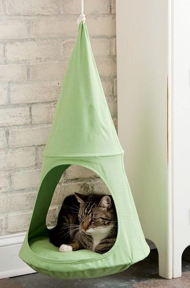 Mint Green Cat Canopy