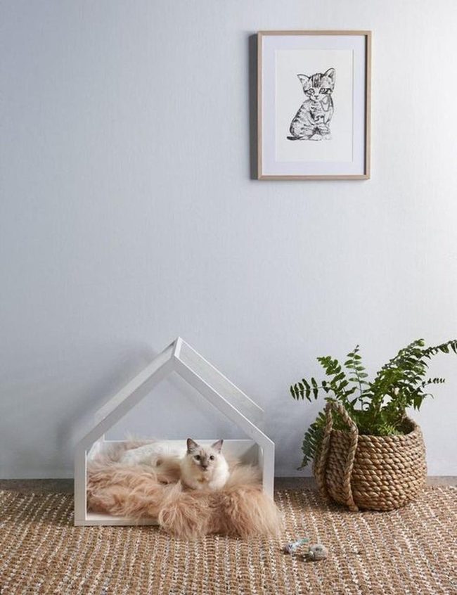 White Cat Bed, Gray Walls