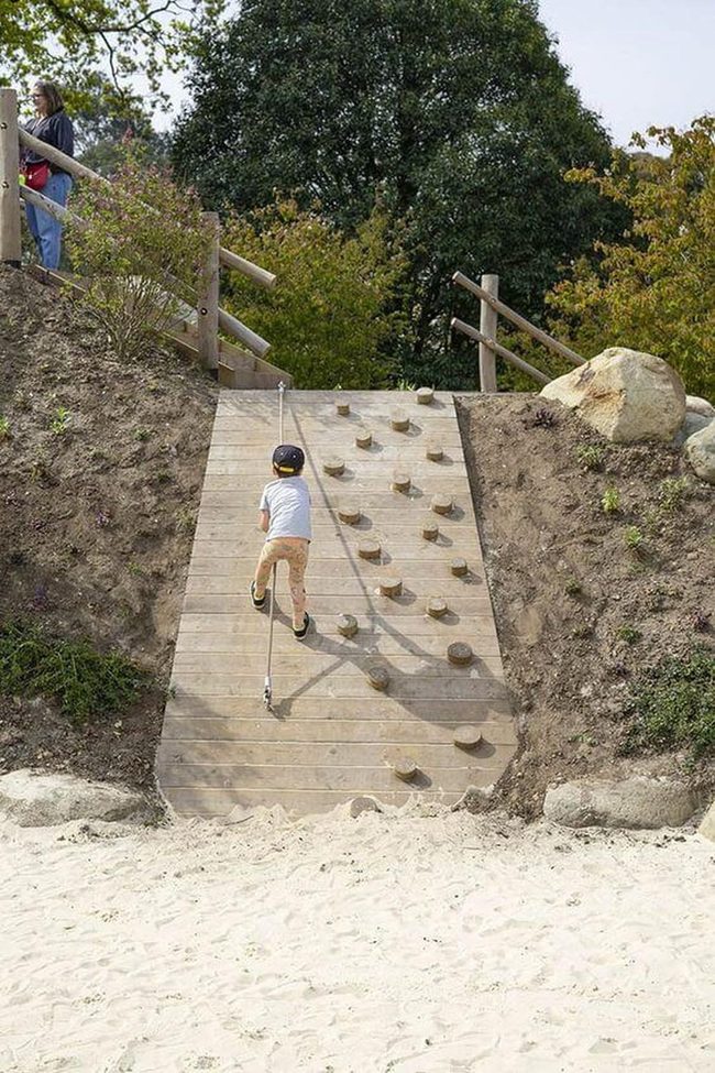 Backyard Rock Climbing Wall