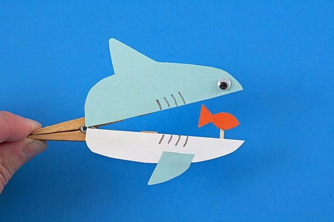 Blue Paper Shark Snapper