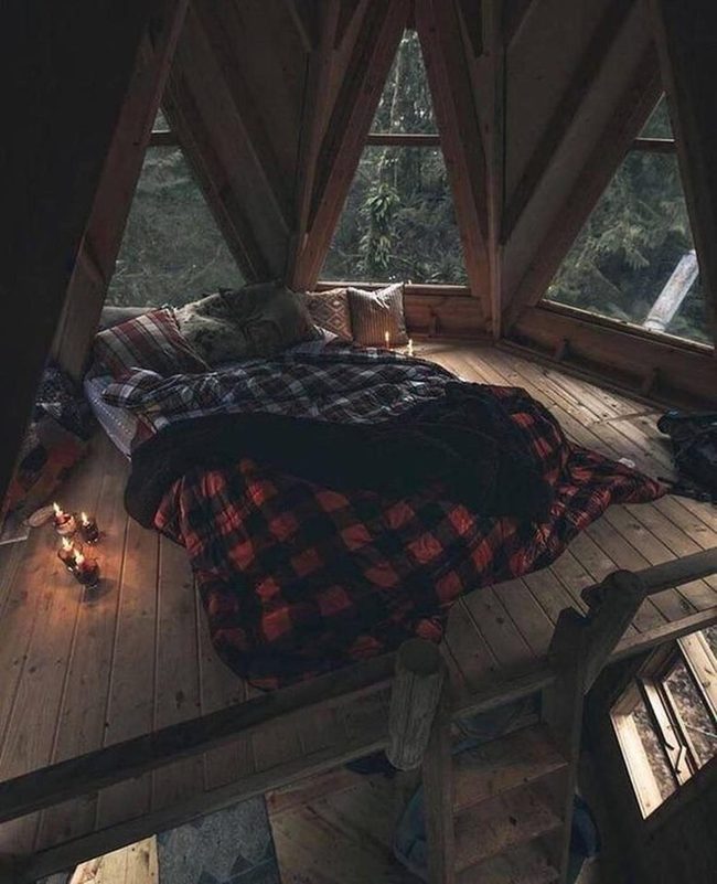 Forest Wood Cabin Interior