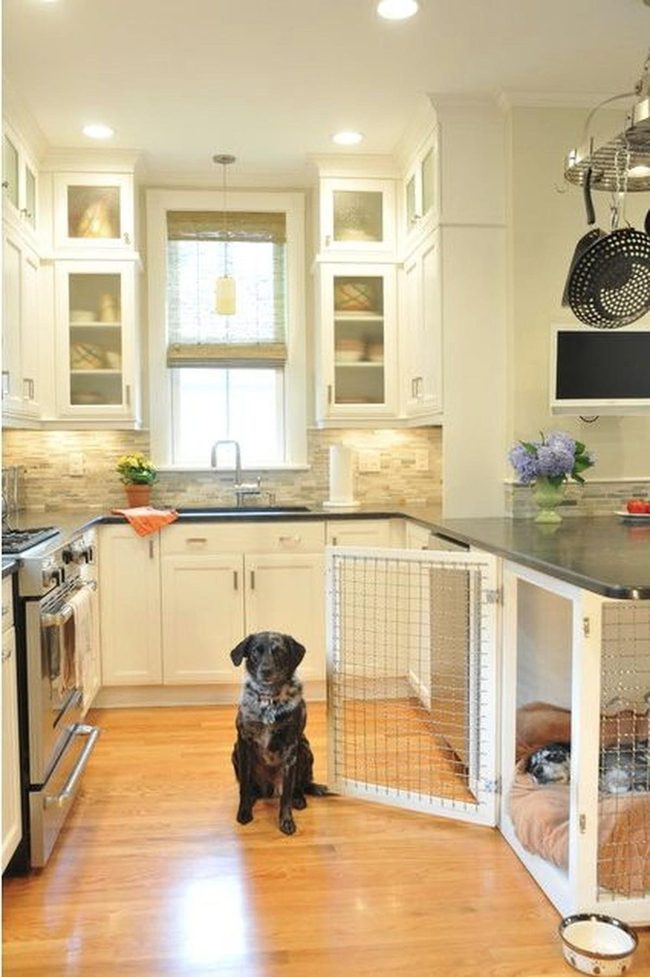 Sunlit Stone Kitchen With Honey Floors