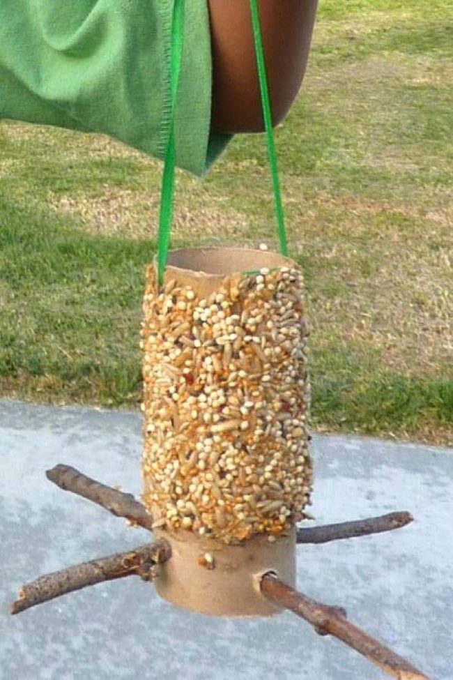 Toilet Paper Tube Bird Feeders