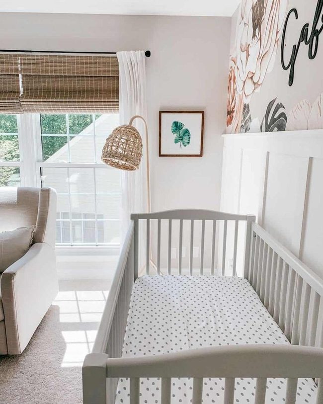 Botanical Nursery With Filtered Light