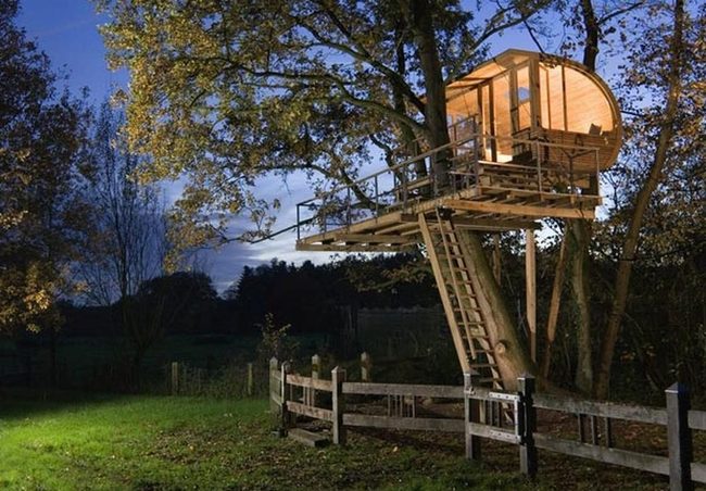 Circular Wooden Treehouse Among Trees