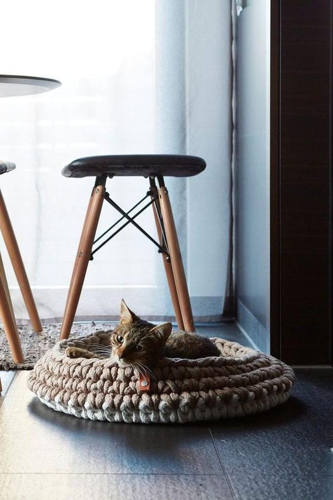 Kitten In Chunky Knit Nest