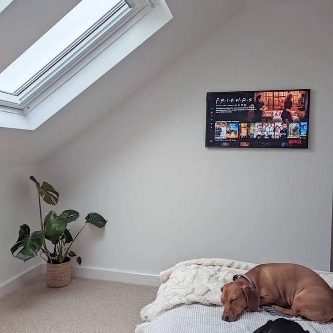 Ceiling-Mounted Cinema Bedroom