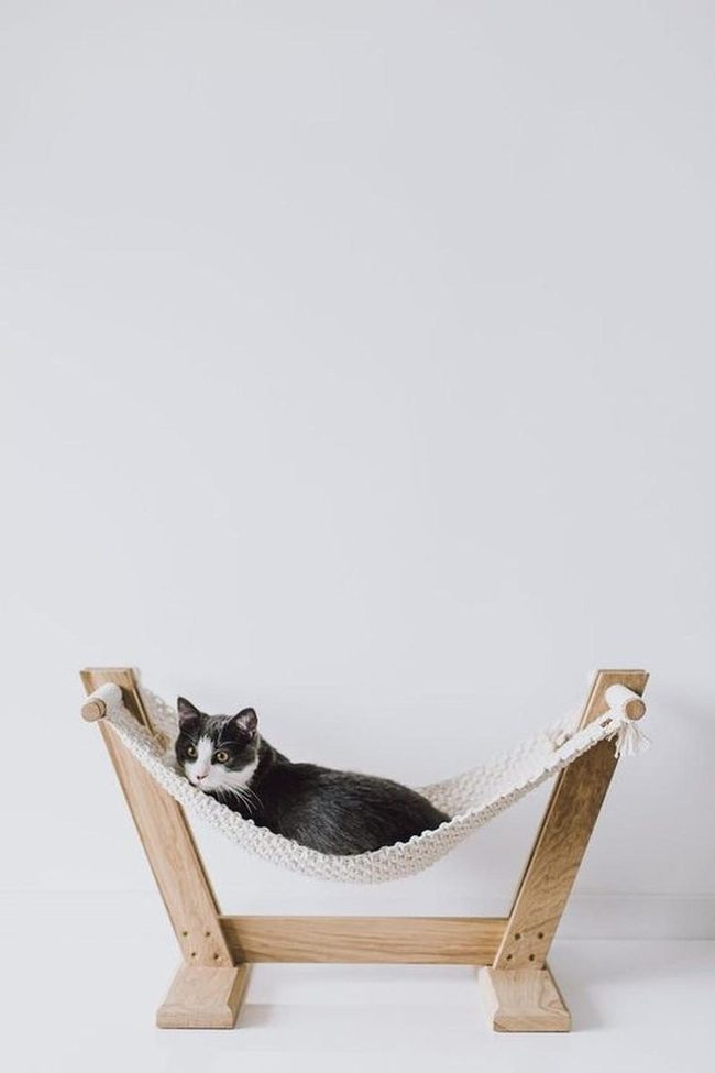 White Rope Hammock Cat