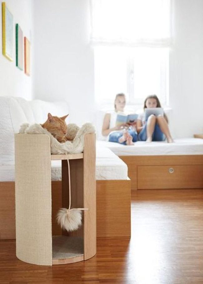 Wooden Floors, Beige Serenity