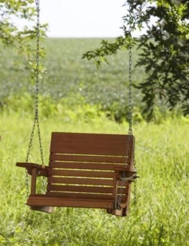 Wooden Swing Beneath Leafy Canopy