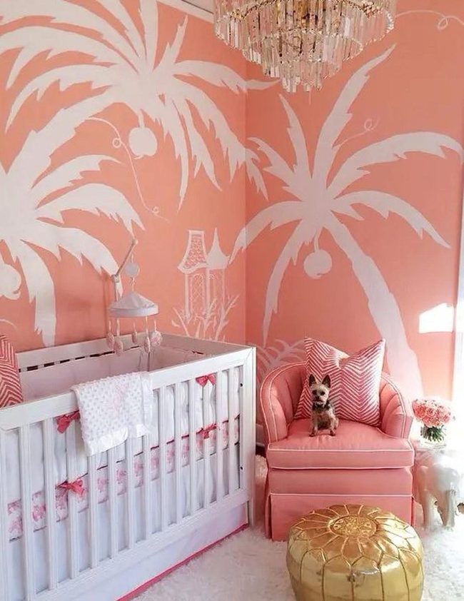 Peachy Pink Palm Tree Nursery