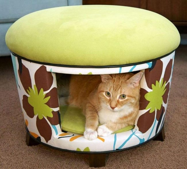 Ginger Cat Green Ottoman