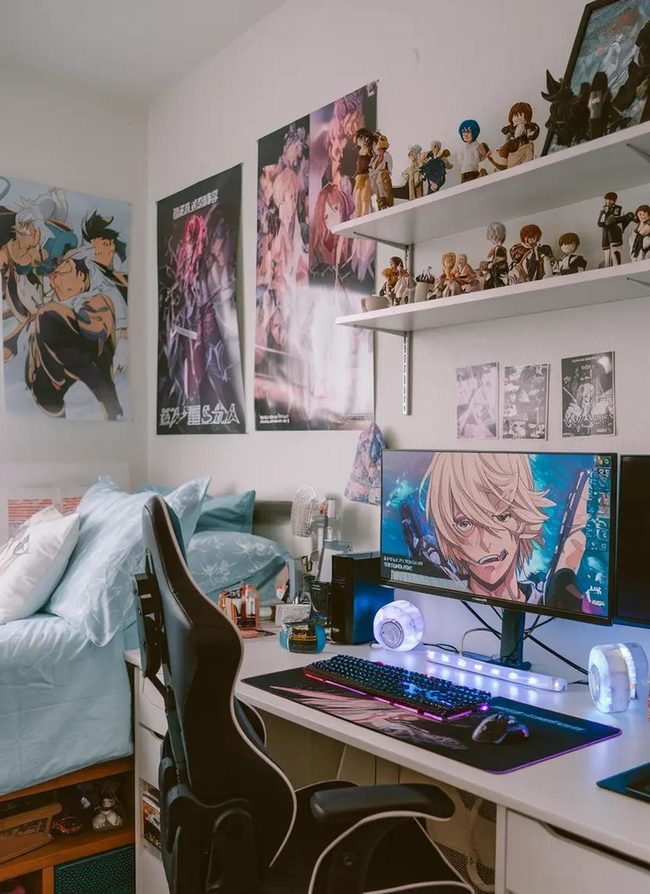 Anime Figures and Wall Scrolls