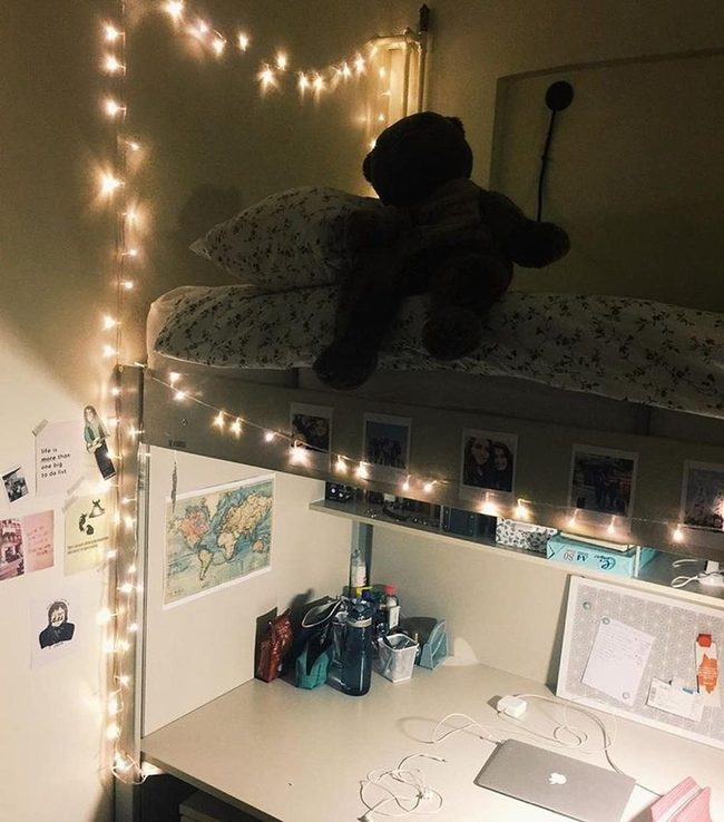 Dark Bears, String Lights, Dreams