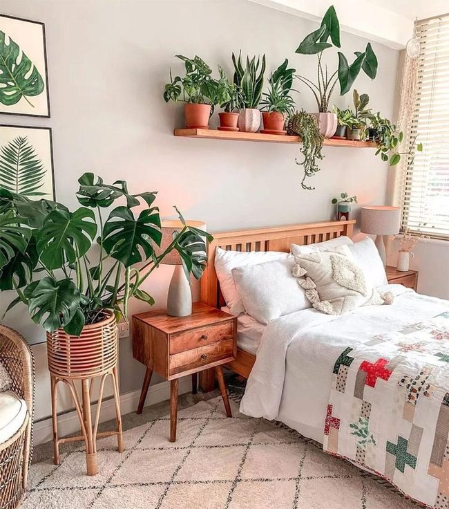 Living Air Purifiers Green