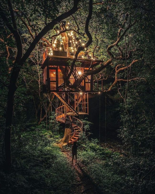 Spiral Tree Stairs