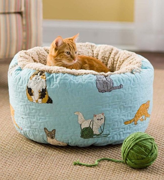 Orange Cat, Blue Bed