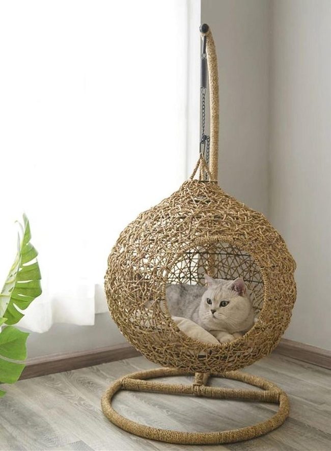 Sunlit Corner With Woven Chair