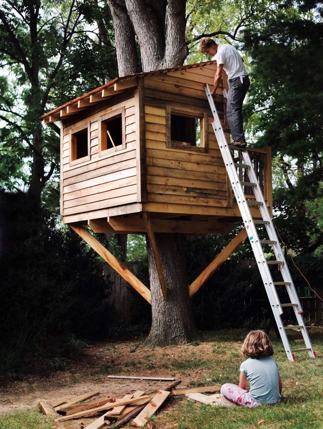 Sunlit Wooden Treehouse Retreat