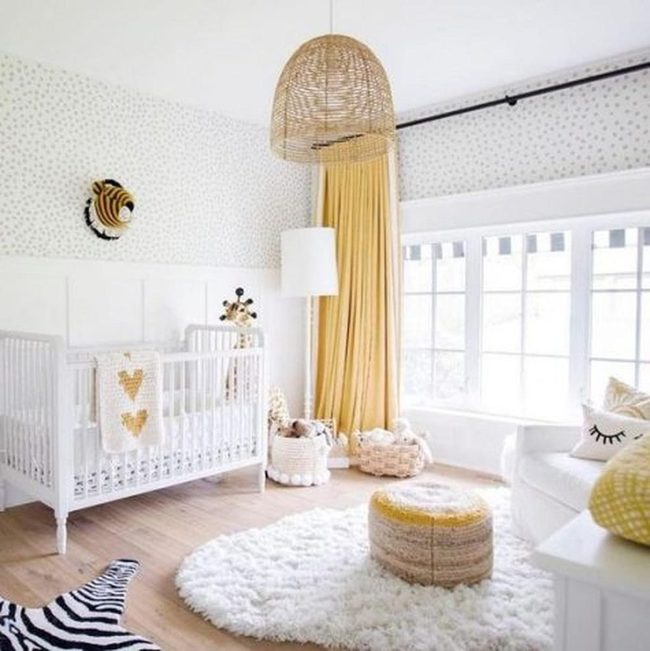 Zebra Stripes Meet Sunlit Walls