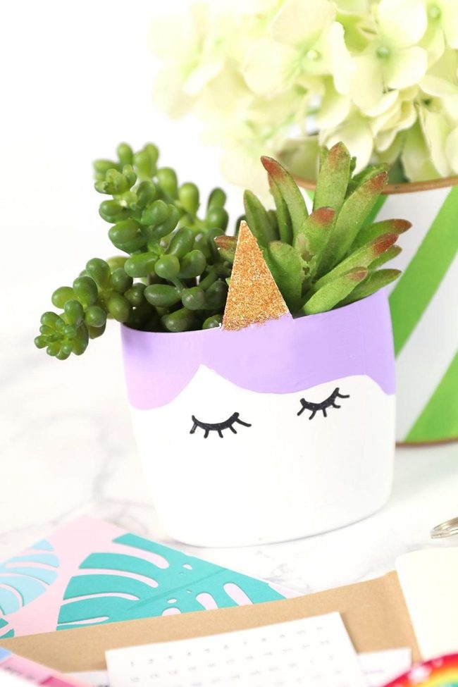 Gold-Horned Unicorn Succulents
