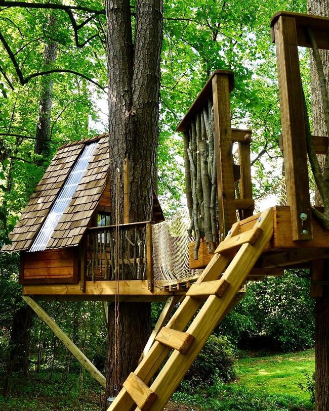 Rope Bridge Treehouse Adventure