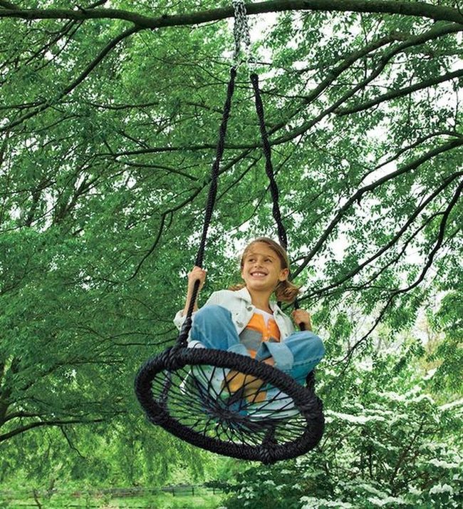 Black Rope Forest Swings
