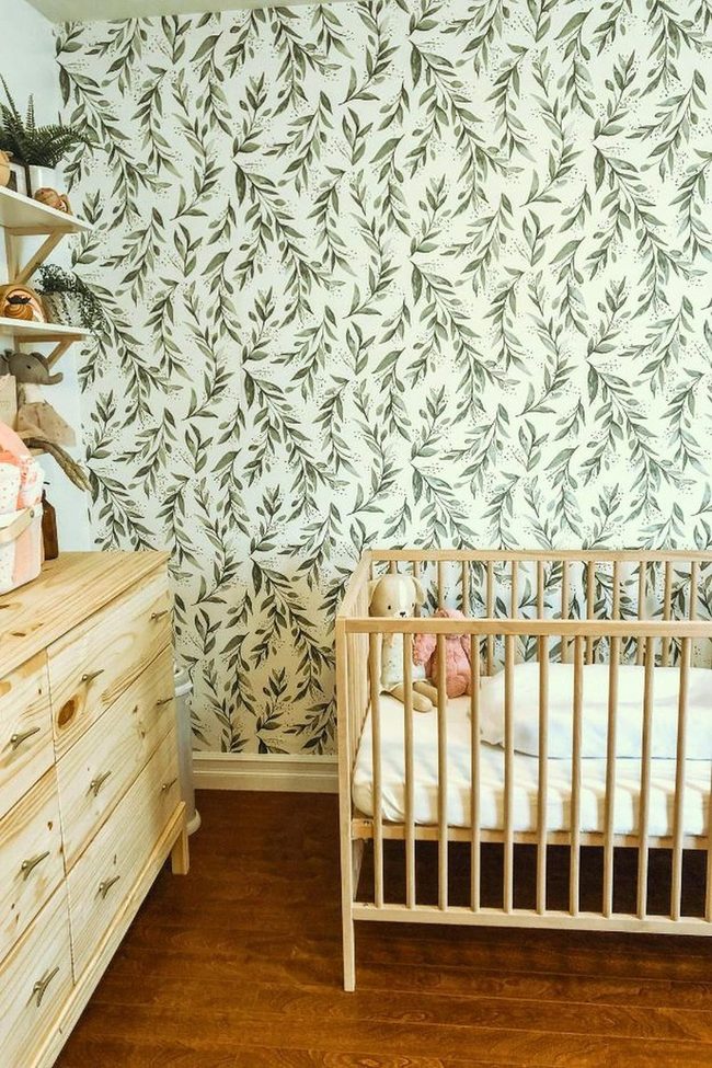Peachy Tulip Yard Nursery