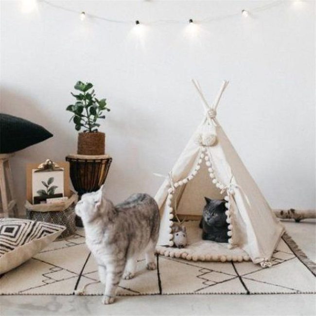 Striped Teepee With Curious Cats