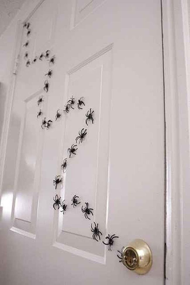 Black Spiders White Doors
