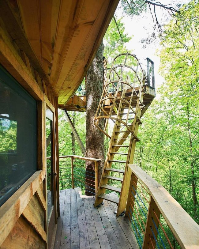 Spiral Staircase Through Treetops