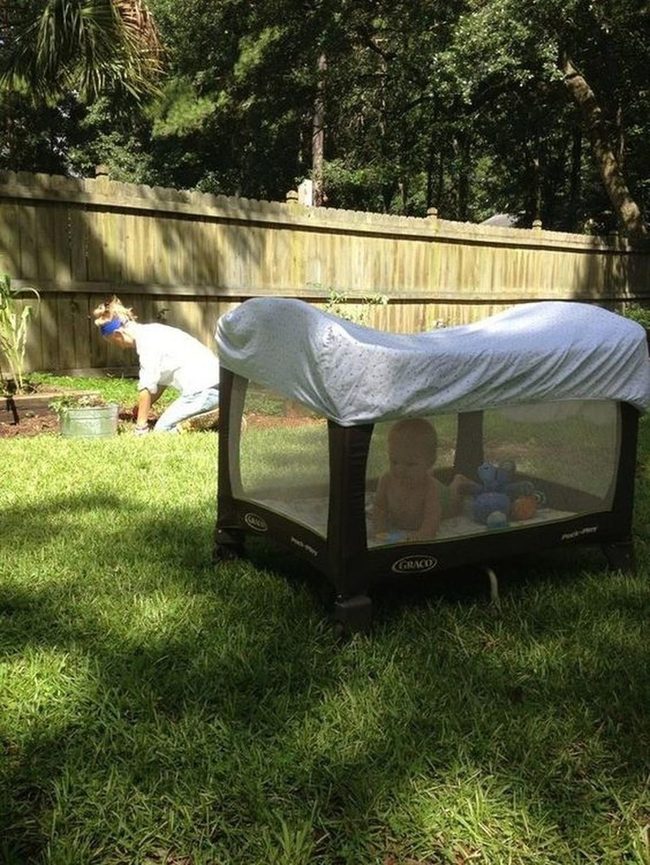 Colorful Playpen In Dappled Shade