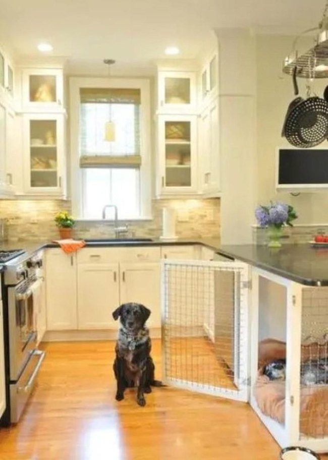 Black Granite, White Glass Kitchen