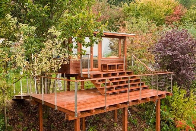 Glass-Framed Forest Treehouse