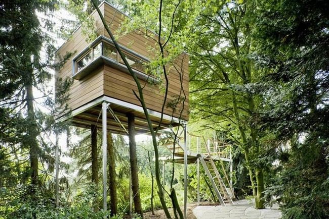 Curved Glass Forest Treehouse