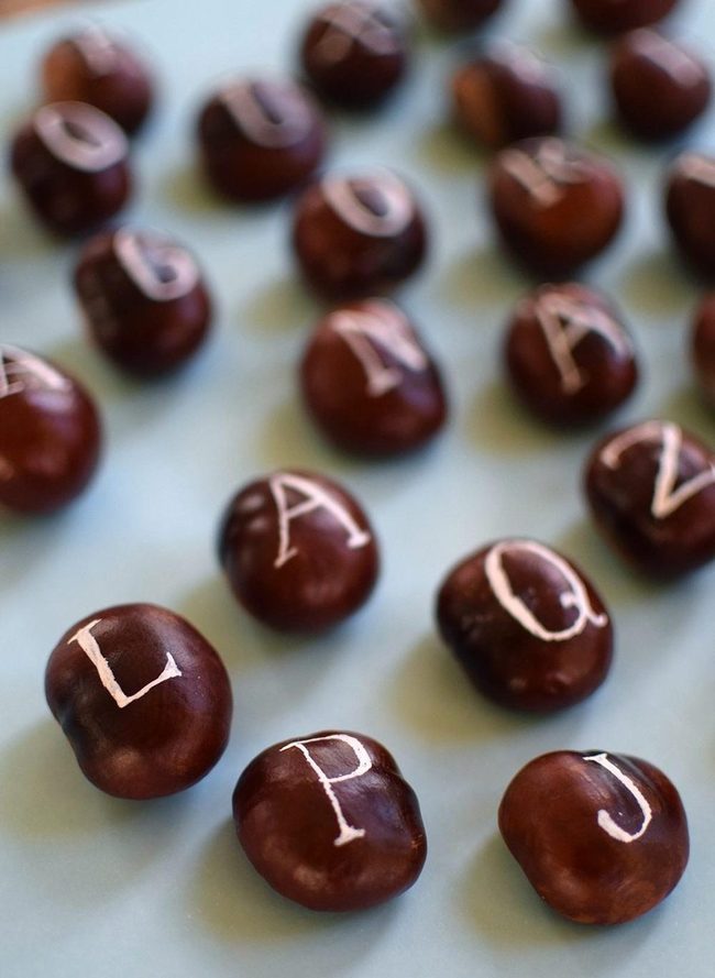 Brown Chestnuts, White Letters