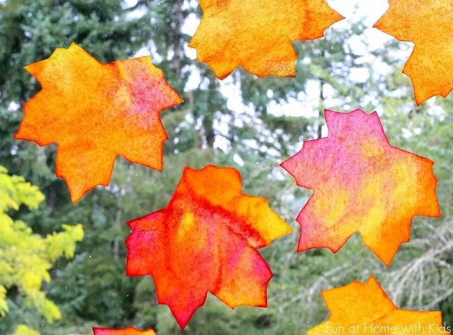 Autumn Leaves On Glass