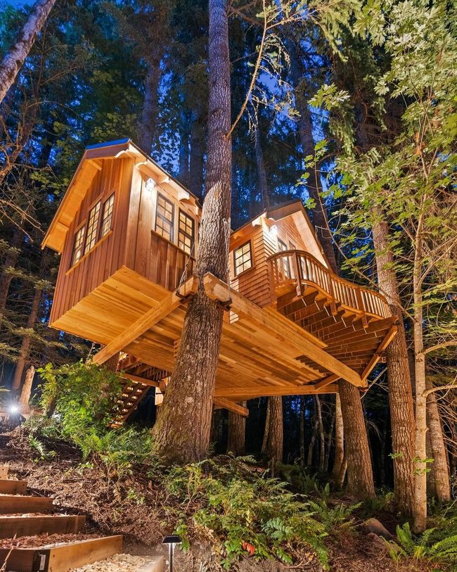 Connected Treehouses, Rope Bridge Adventure