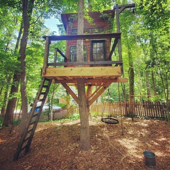 Canopy Views From Above