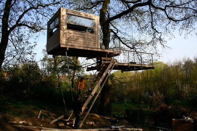 Canopy Glass Treehouse