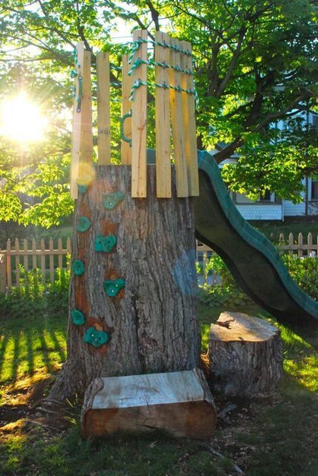 Green Leaf Tree Stump Climber