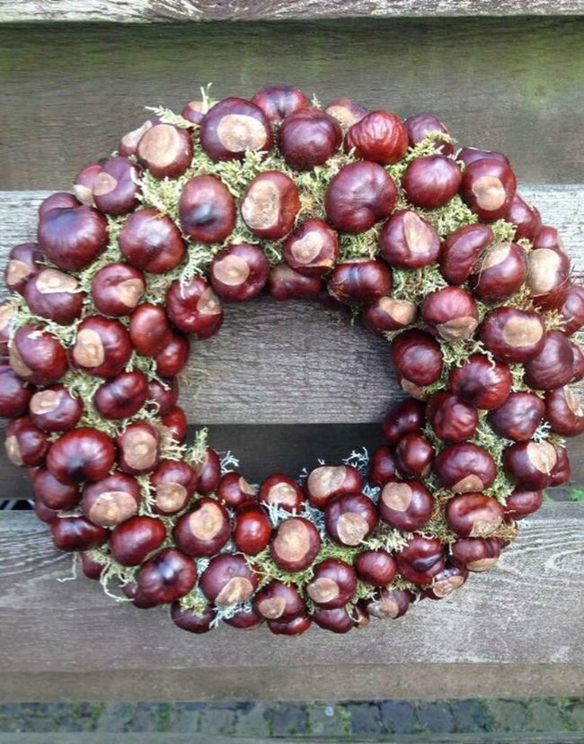 Polished Chestnuts And Moss Wreath