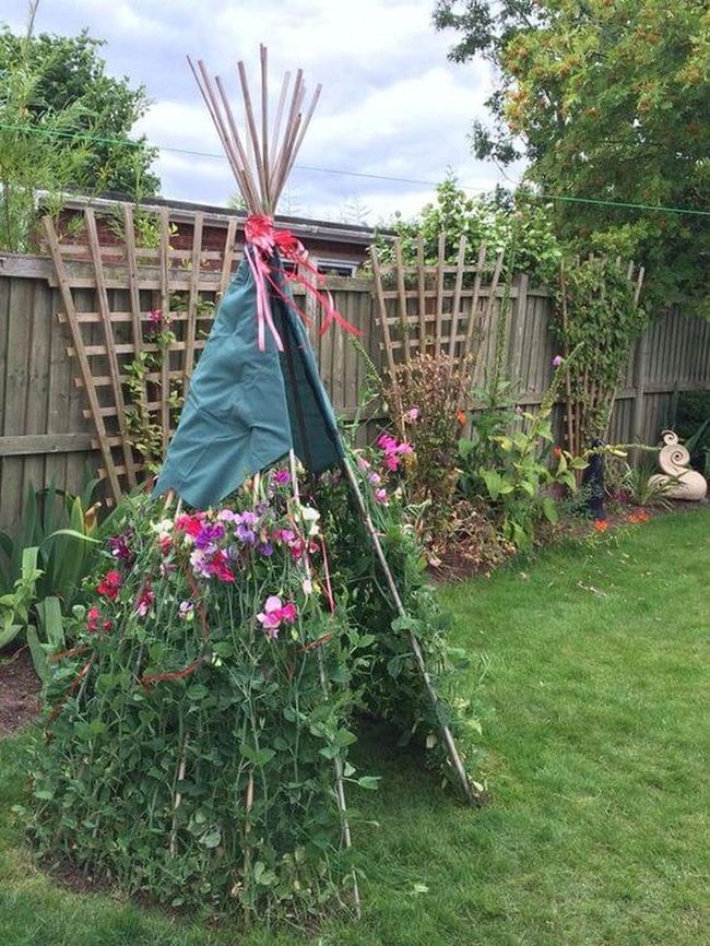 Climbing Bean Garden Tent