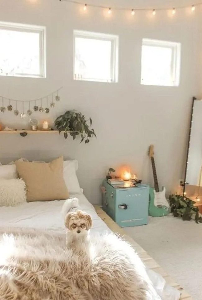 White Walls, Green Plants, String Lights