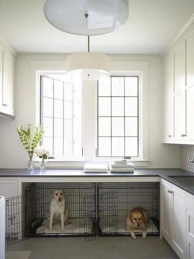 Sunlit Whites And Dark Contrast
