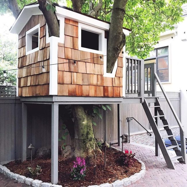 Treehouse Views, Maximum Space