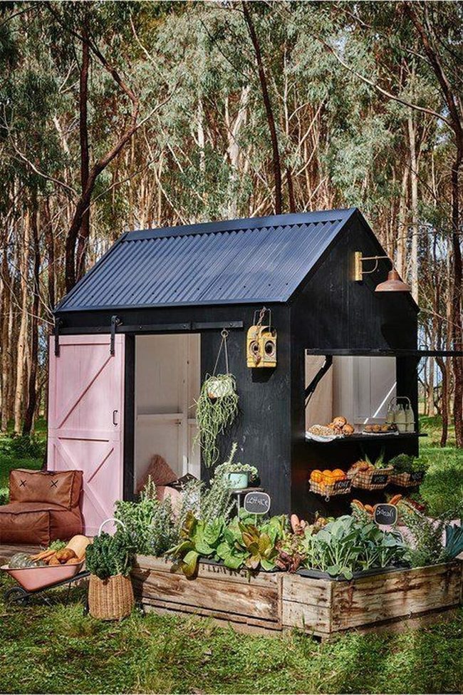 Black Shed, Pink Door, Garden Life
