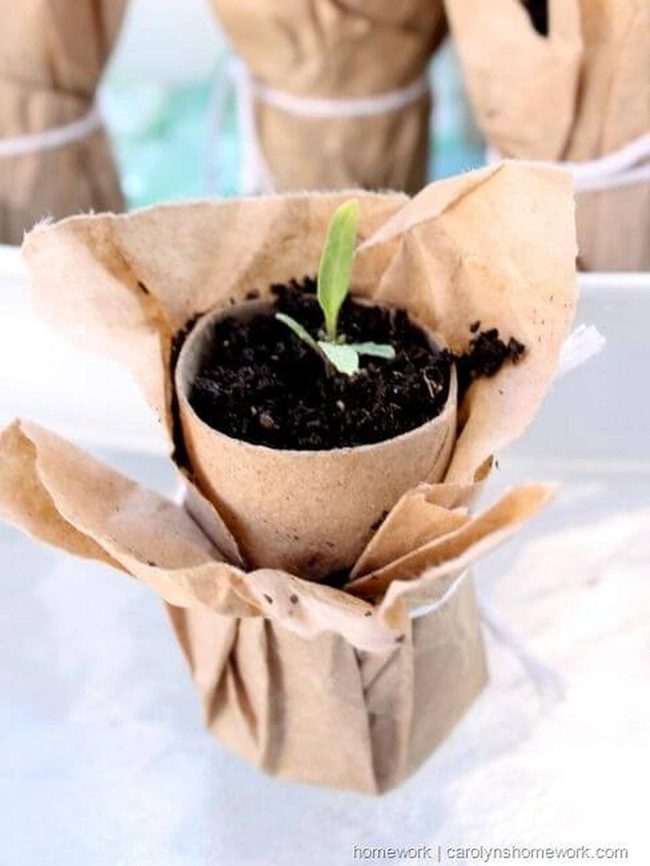 Recycled Paper Mini Planters