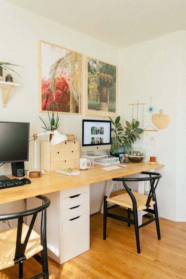 Green Plants Brighten Study Spaces