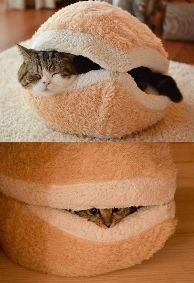 Tan Bun Cat Bed